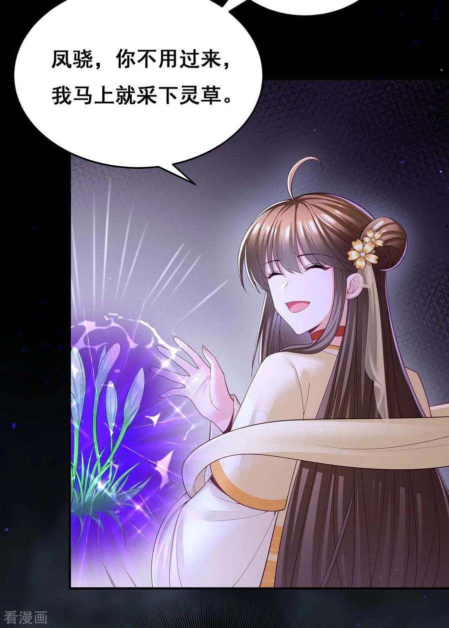我在后宫当大佬146话 摘得仙草