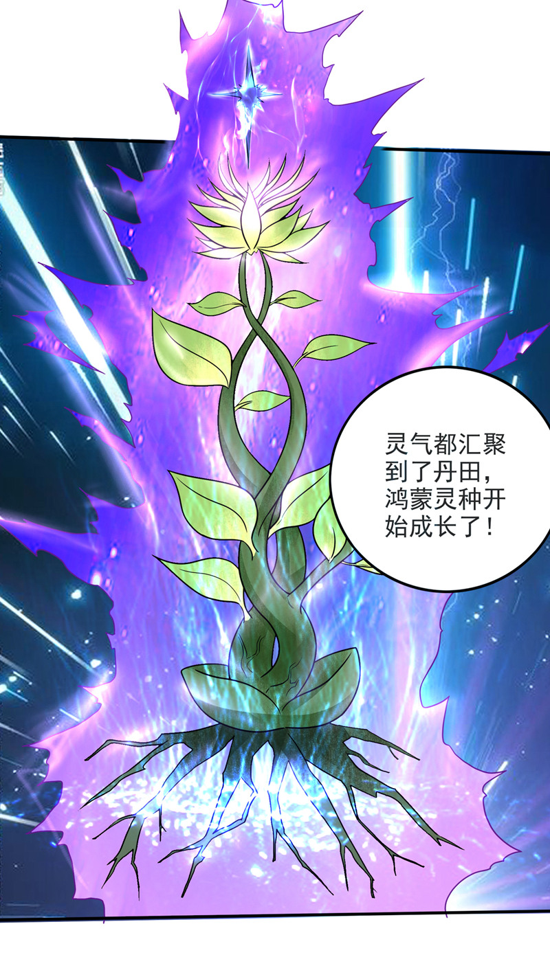 最强神医混都市第231话 你要违背承诺？！