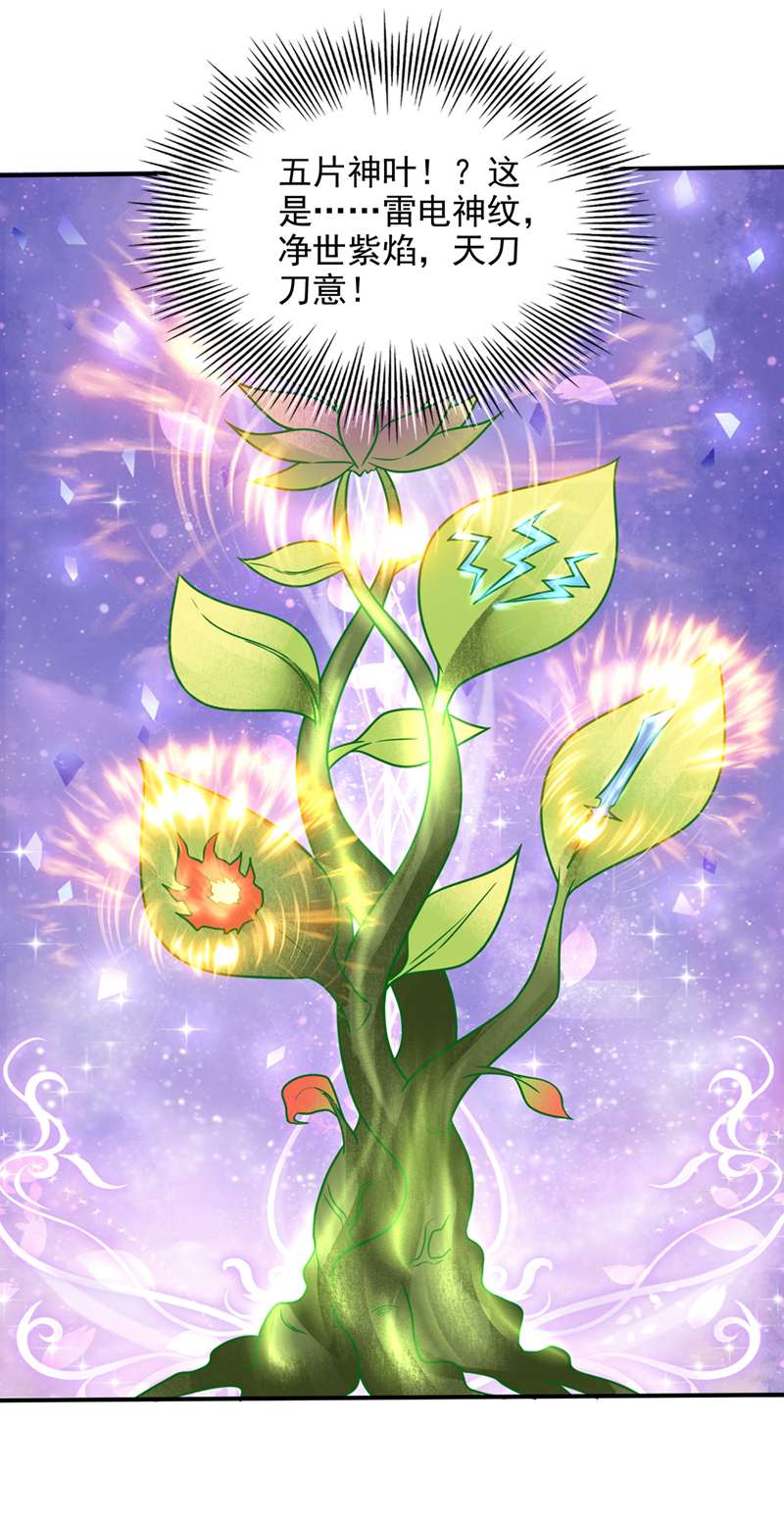 最强神医混都市第240话 前往域外