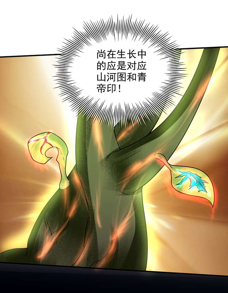 最强神医混都市第240话 前往域外