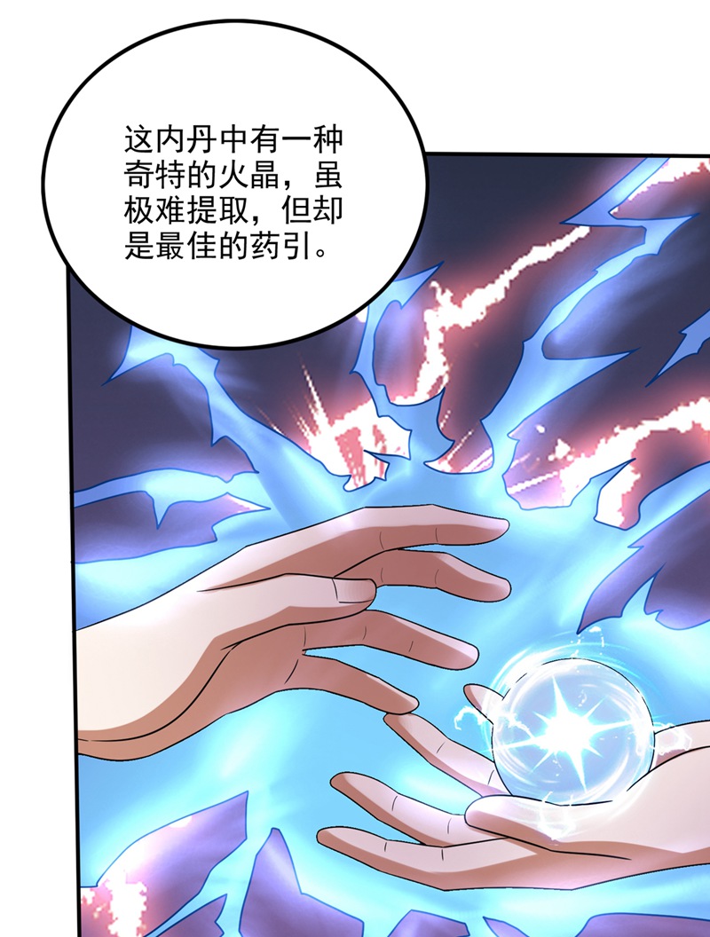 最强神医混都市第243话 无需炉火就能炼药？
