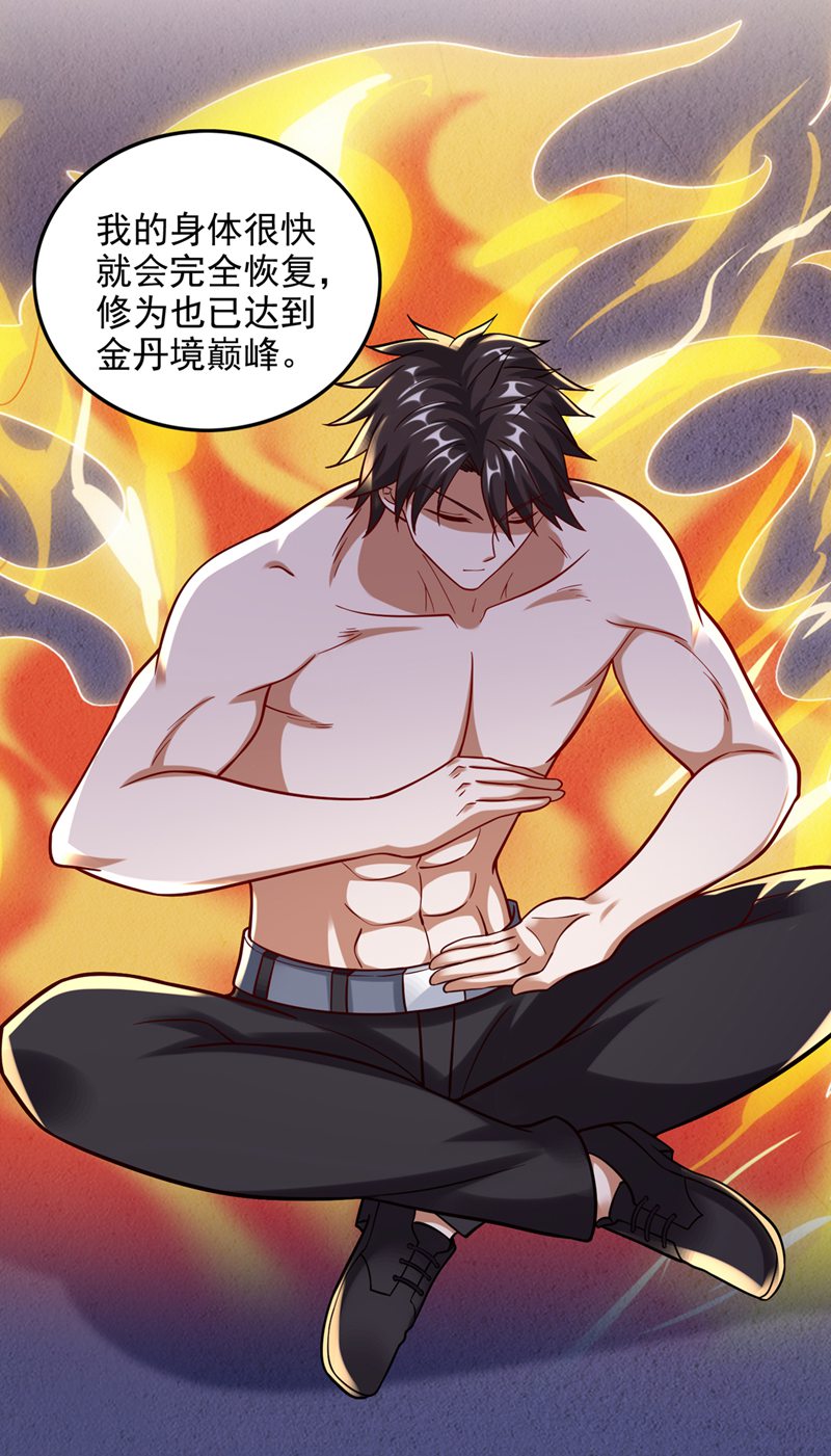 最强神医混都市第243话 无需炉火就能炼药？
