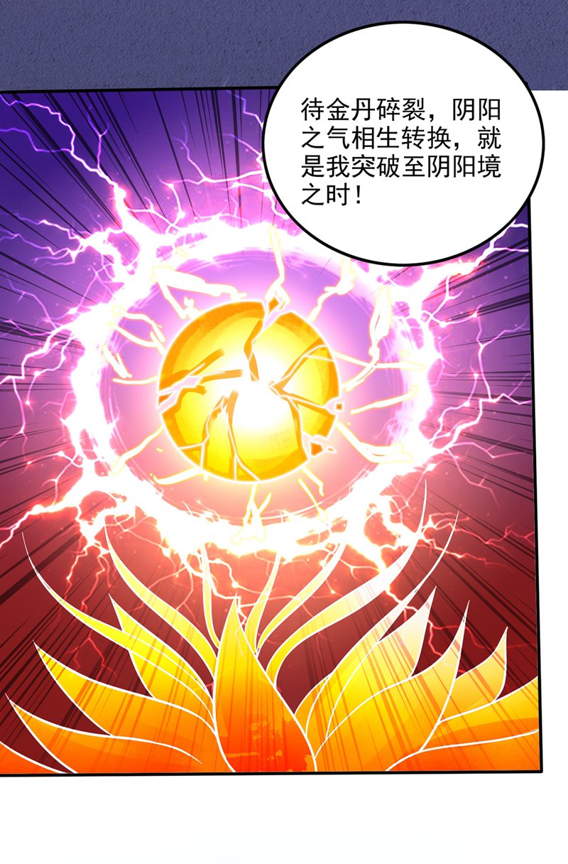 最强神医混都市第243话 无需炉火就能炼药？