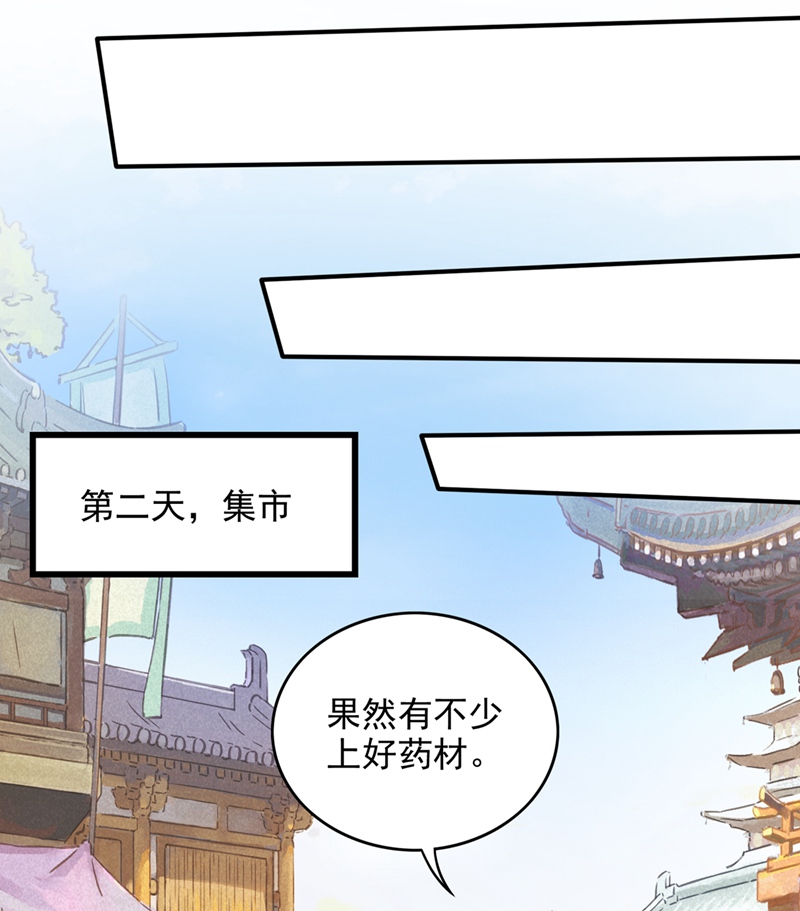 最强神医混都市第243话 无需炉火就能炼药？