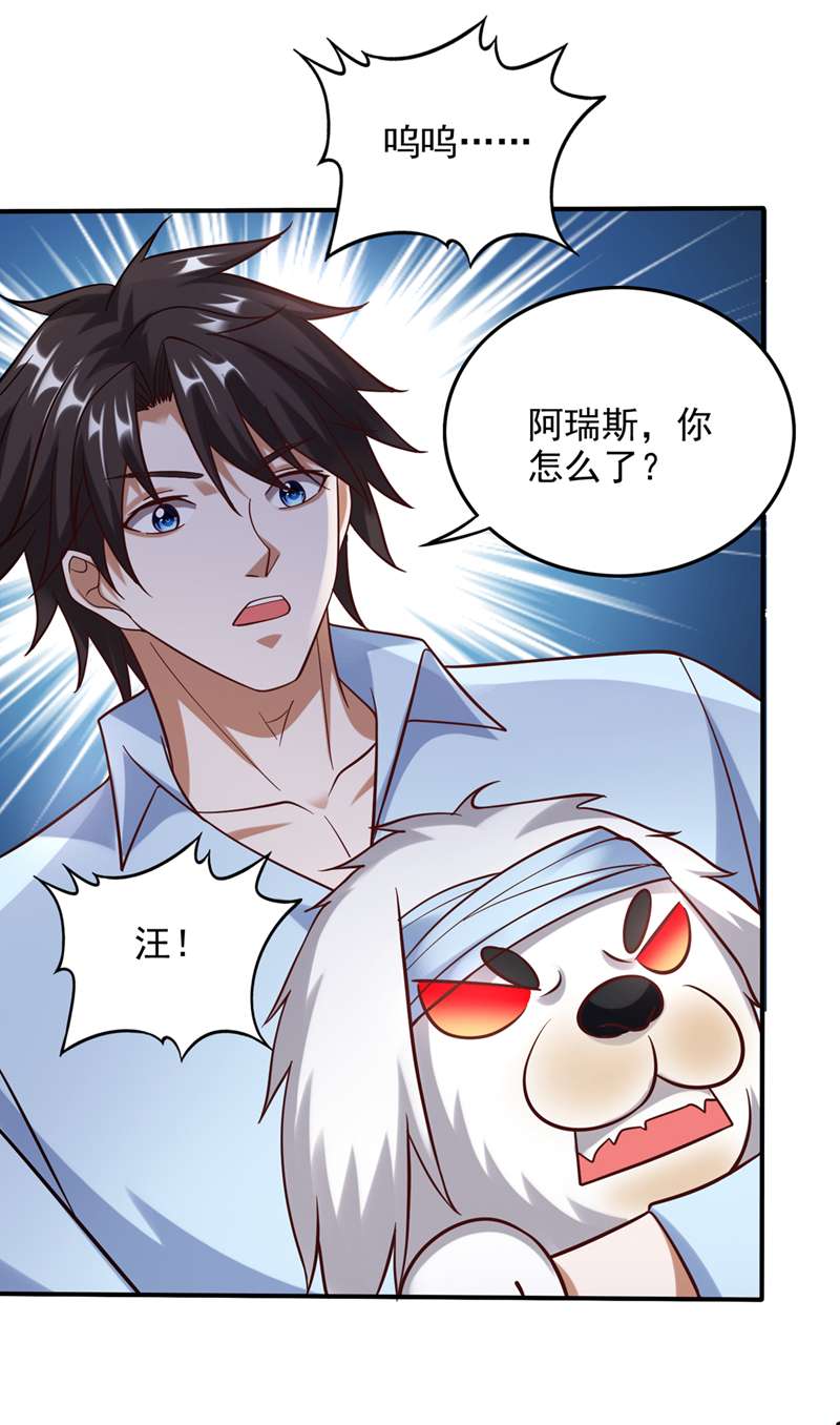 最强神医混都市第244话 冤家路窄