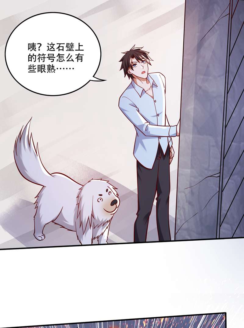 最强神医混都市第246话 取话灵根！
