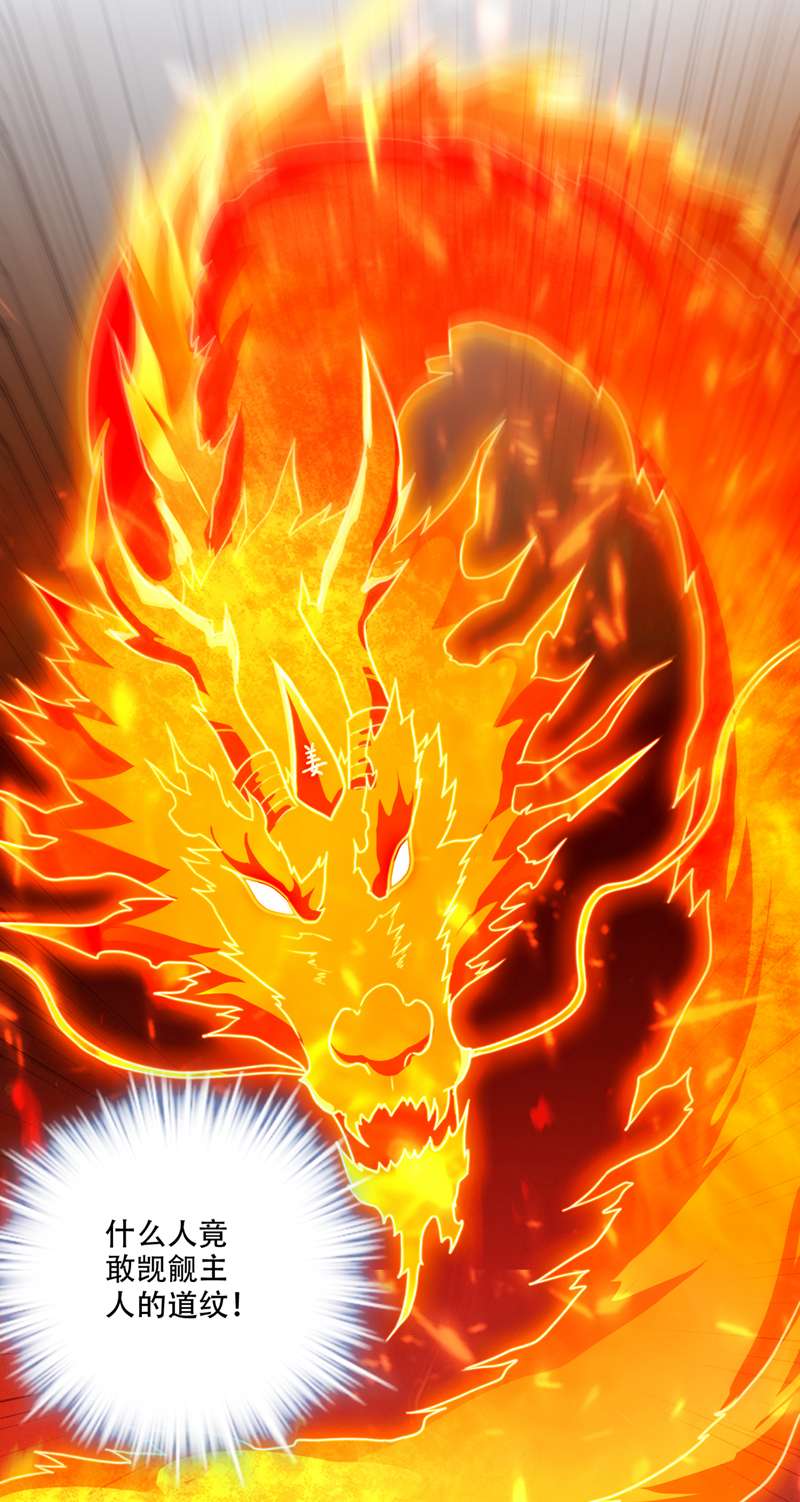 最强神医混都市第249话 炎帝的道纹
