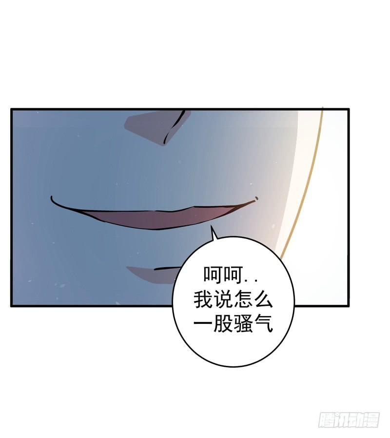 最强神医混都市17话 帝王绿VS金丝红翡？