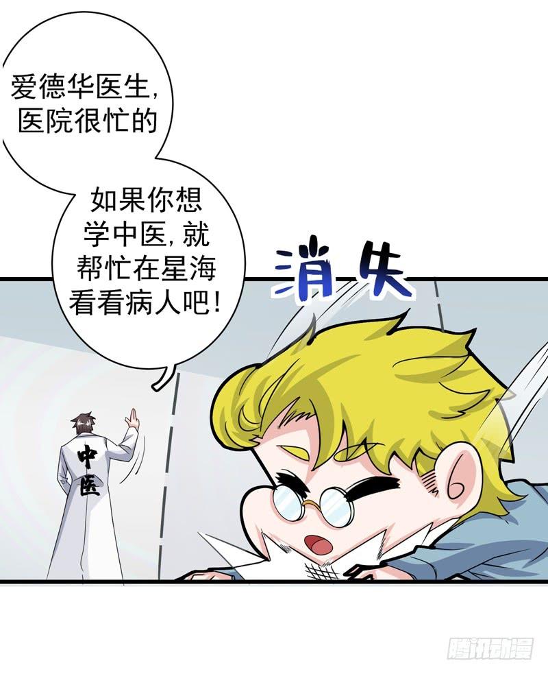 最强神医混都市31话 婆罗门