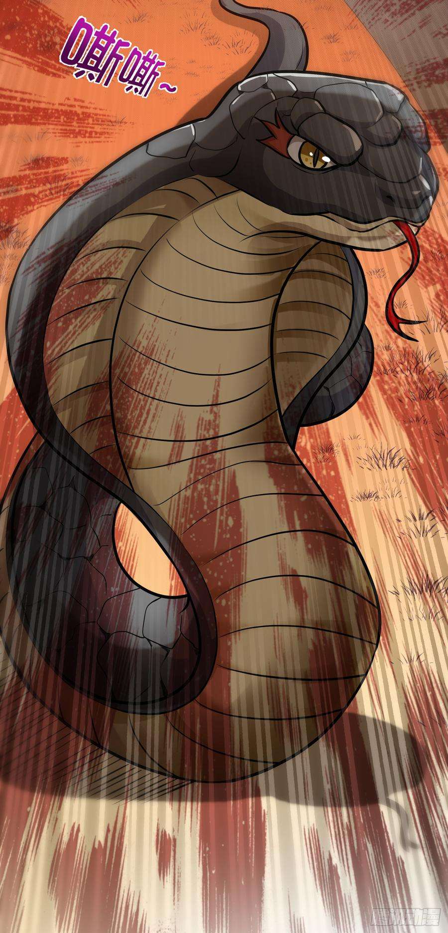 最强神医混都市66话 婆罗门神教来袭！