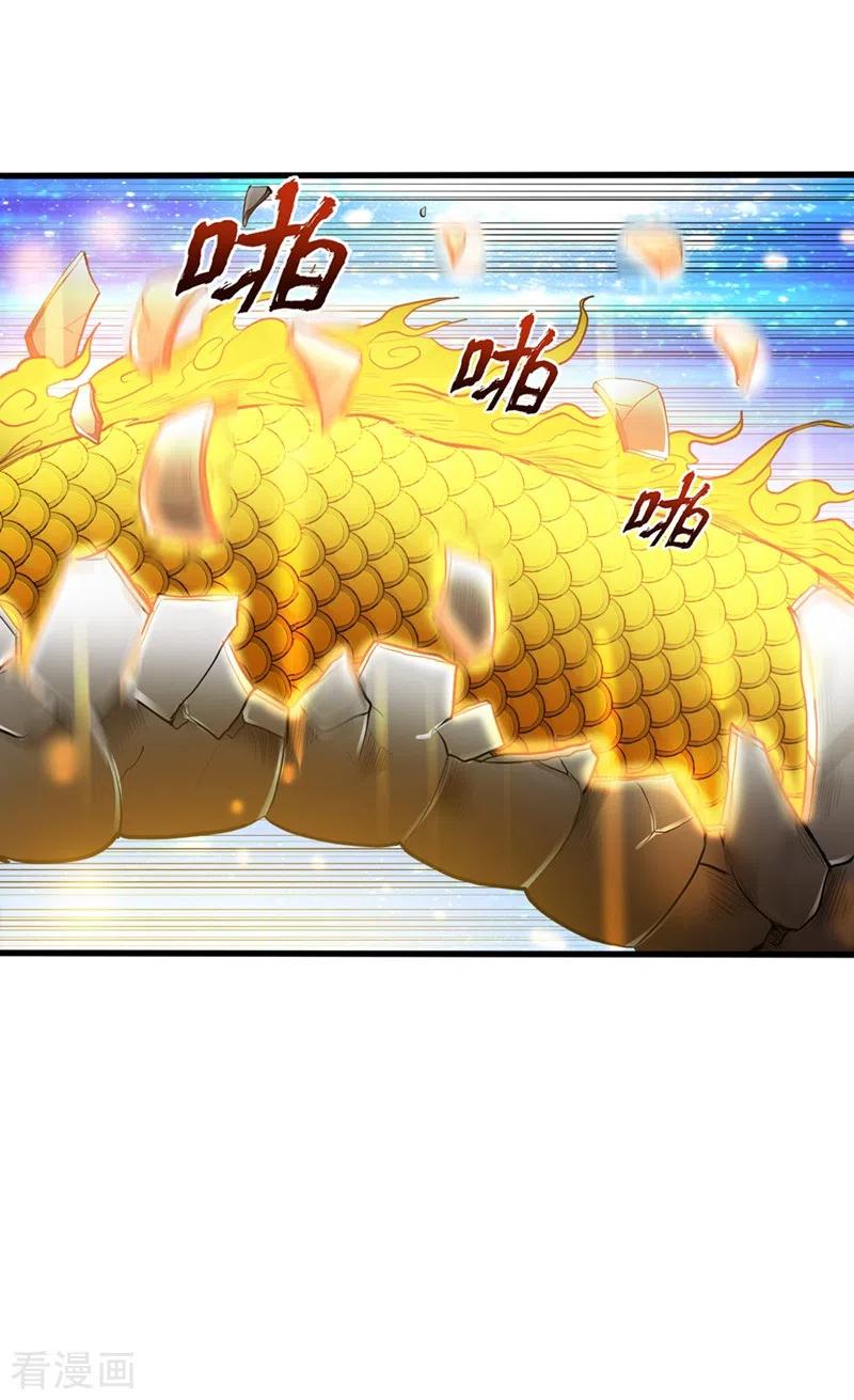 最强神医混都市130话 红袖病入膏肓！？