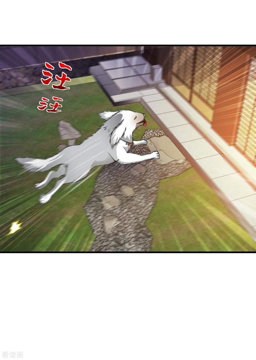 最强神医混都市171话 把花开院家搬空！