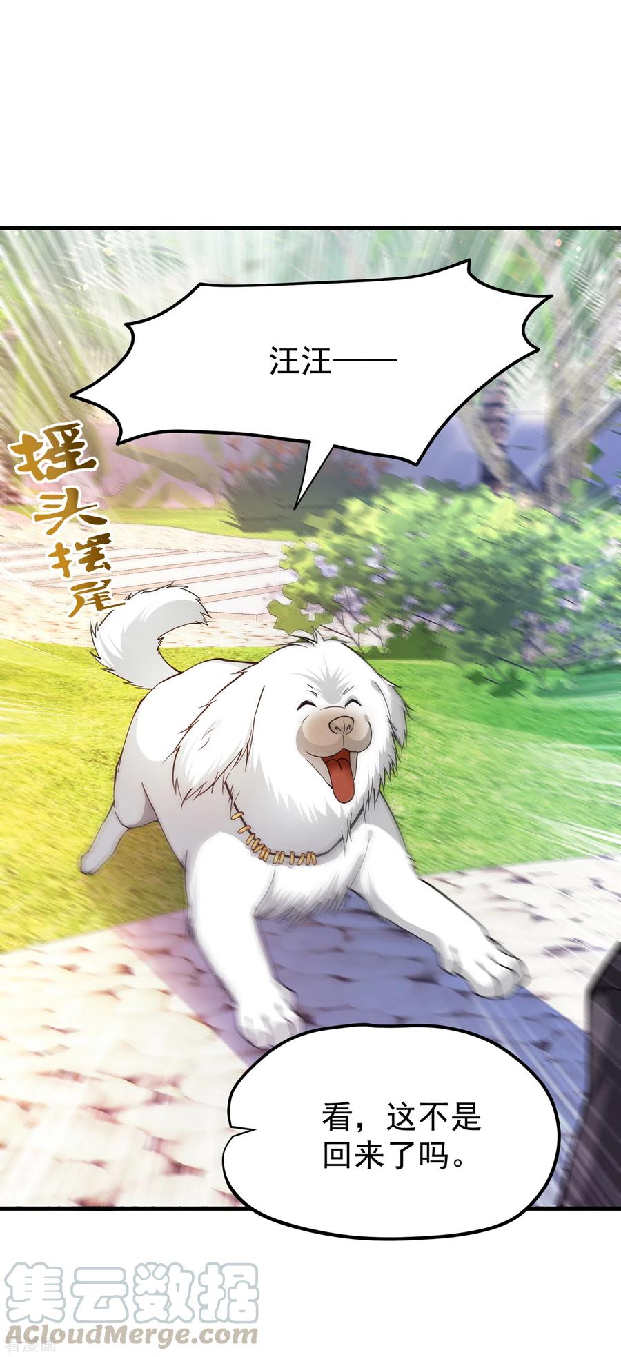 最强神医混都市171话 把花开院家搬空！