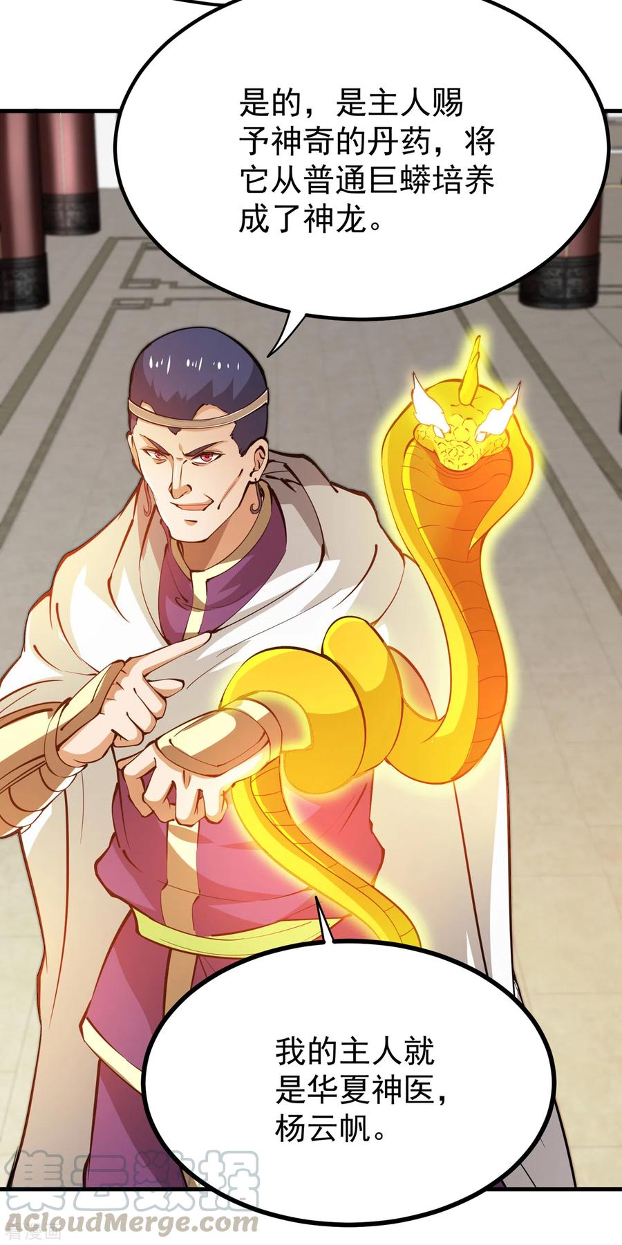 最强神医混都市190话 请杨天刀赐教！