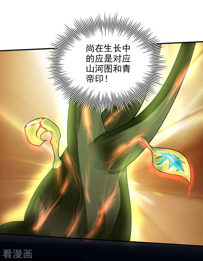 最强神医混都市240话 前往域外