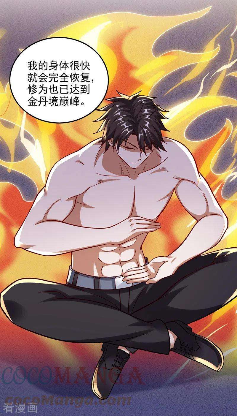 最强神医混都市243话 无需炉火就能炼药？