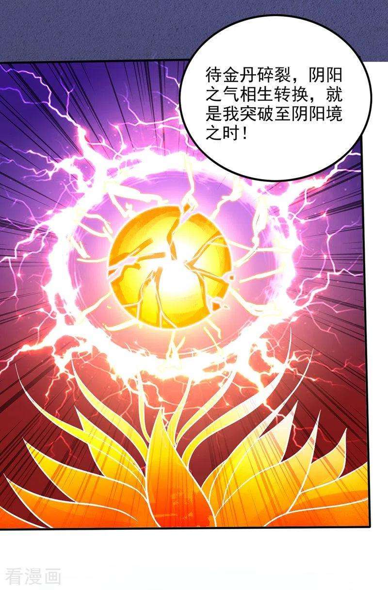 最强神医混都市243话 无需炉火就能炼药？