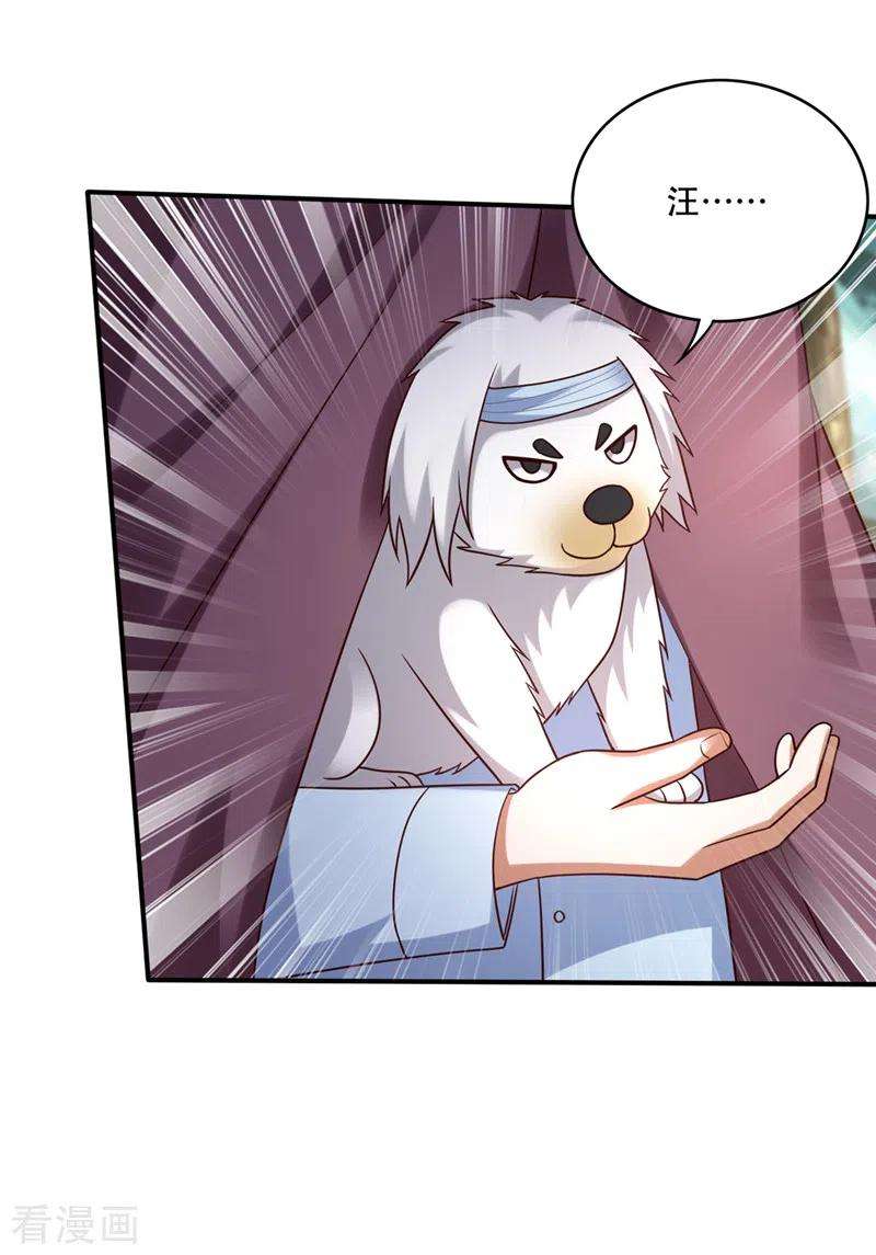 最强神医混都市245话 幽泉涧开启