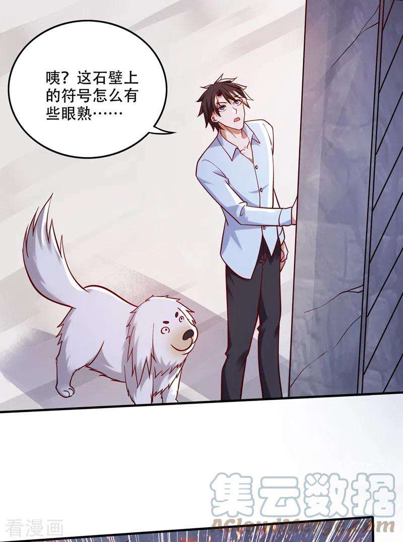 最强神医混都市246话 取话灵根！