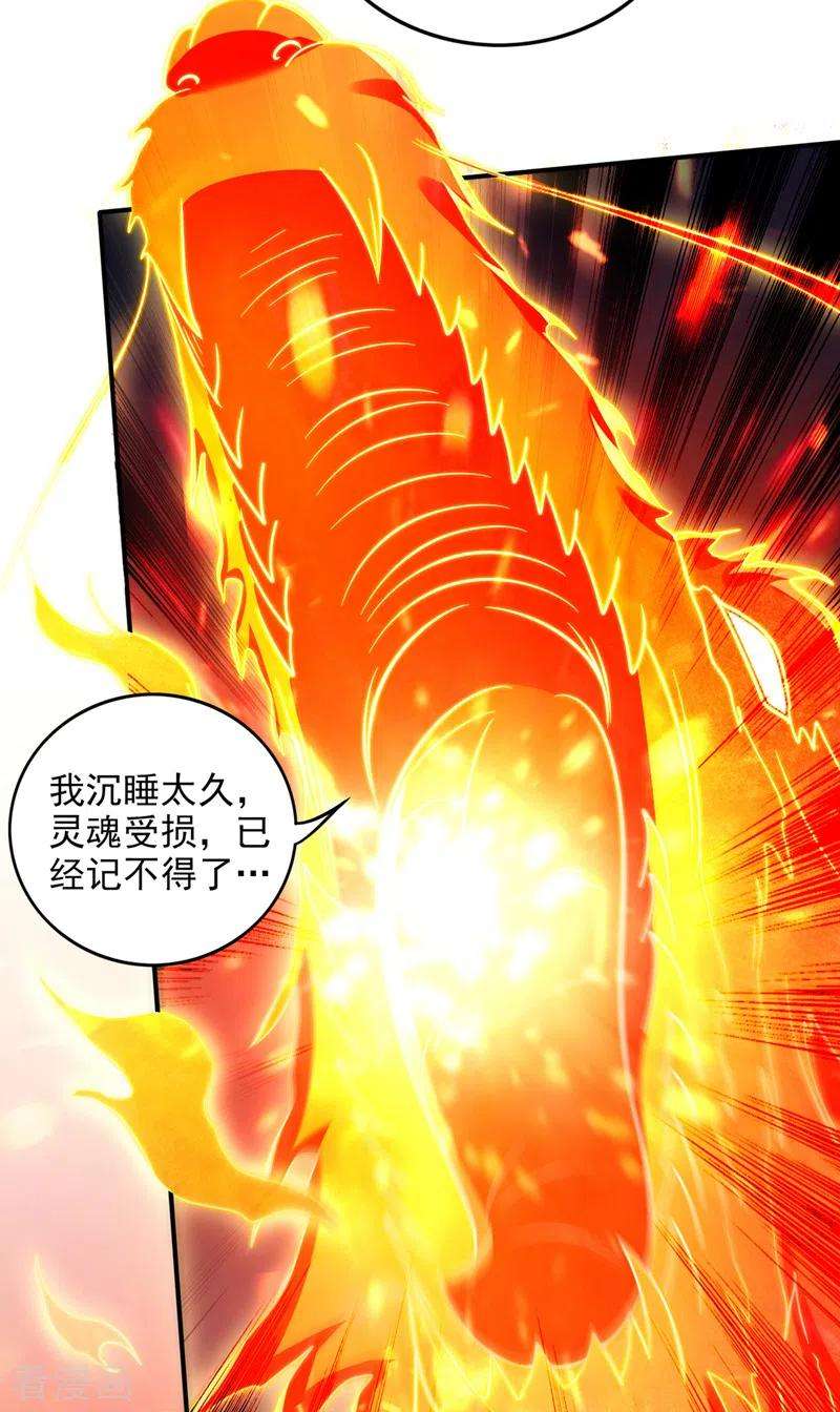 最强神医混都市249话 炎帝的道纹