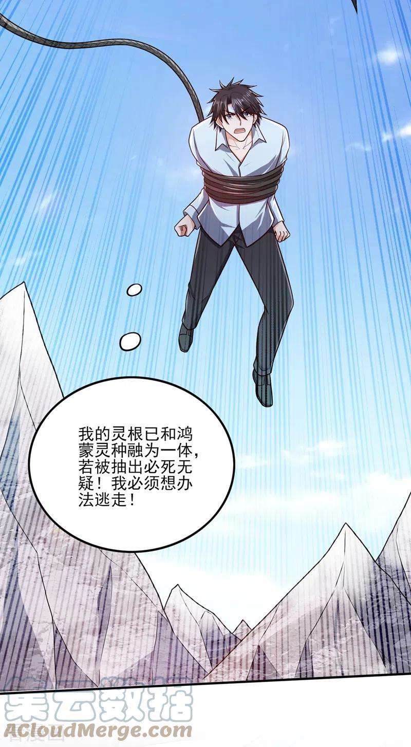 最强神医混都市251话 你的灵根归我了