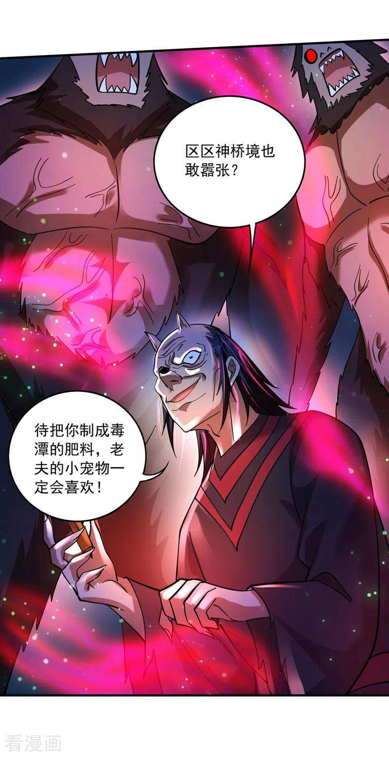 最强神医混都市263话 禹皇的仇人
