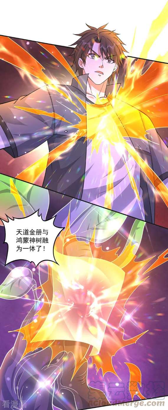 最强神医混都市276话 天道金册的书页！？