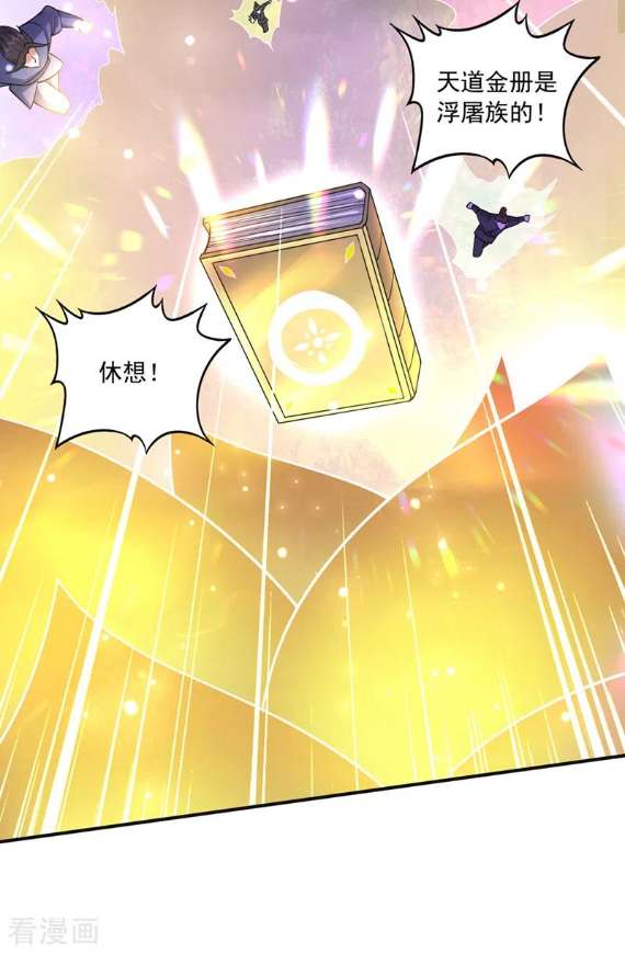 最强神医混都市276话 天道金册的书页！？