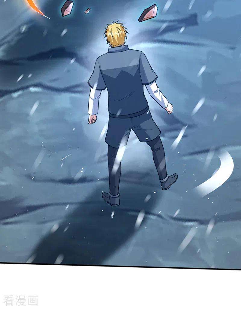 最强神医混都市281话 掌握大地元素！