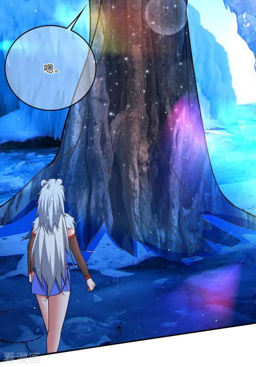 最强神医混都市290话 星纹白熊一族