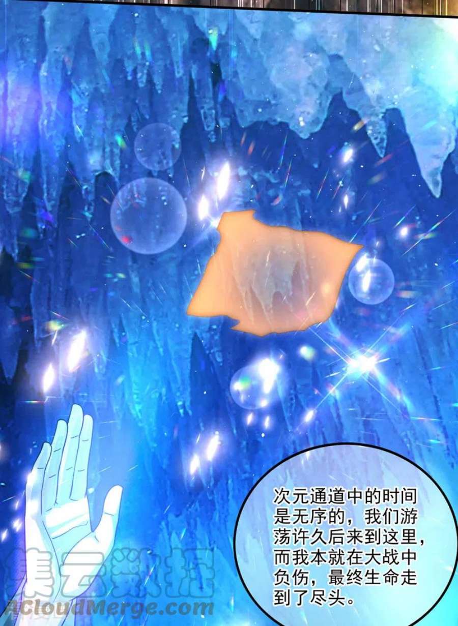 最强神医混都市290话 星纹白熊一族