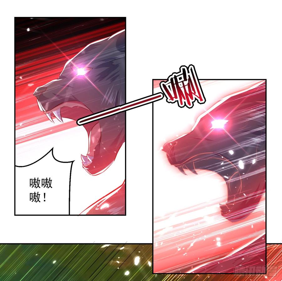 凌天神帝41话 黑云豹