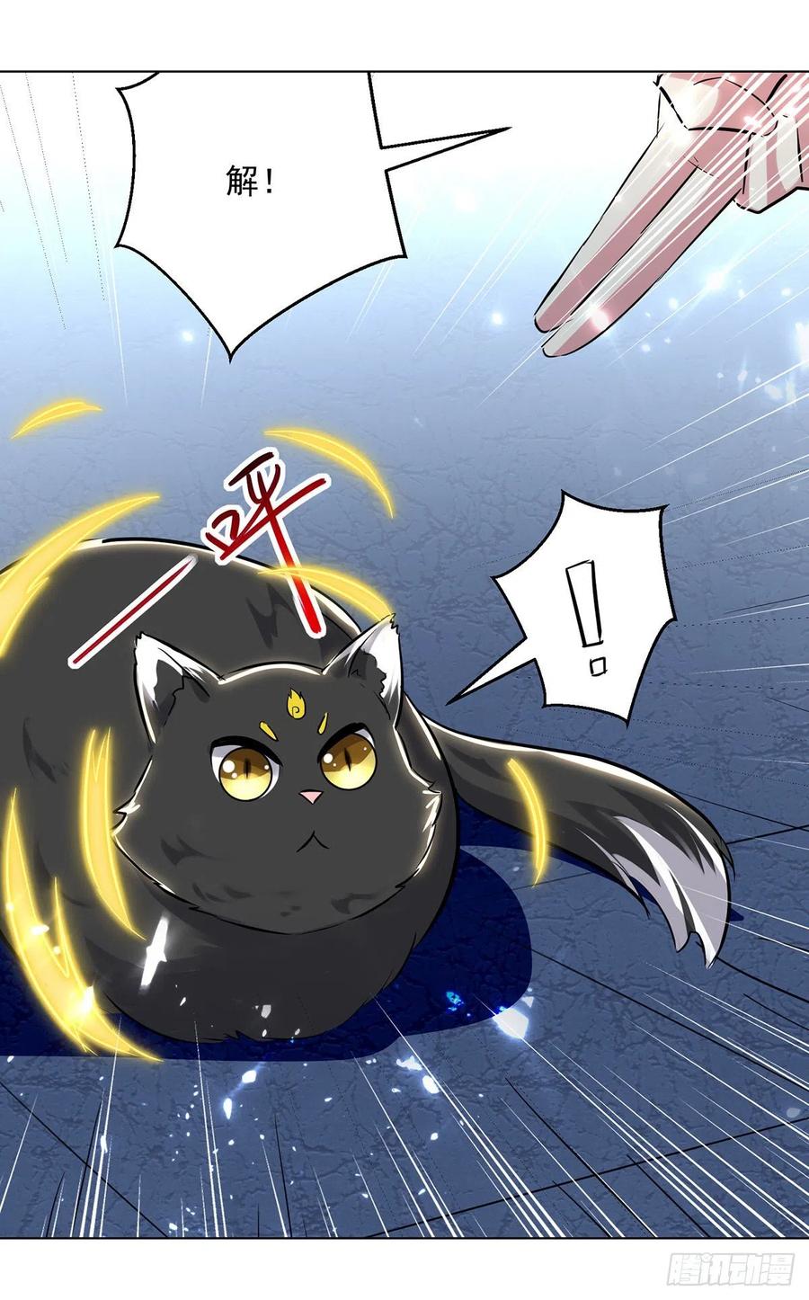 凌天神帝149话 收服小猫咪