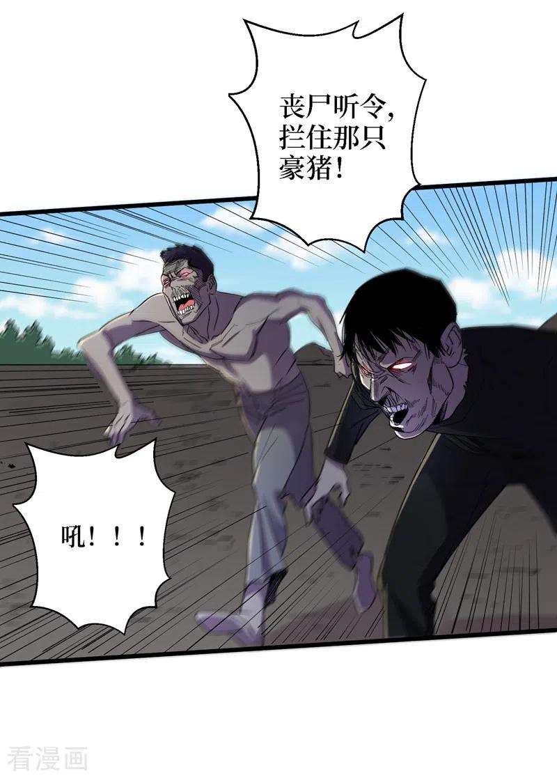 我在末世捡属性80话 驭兽者