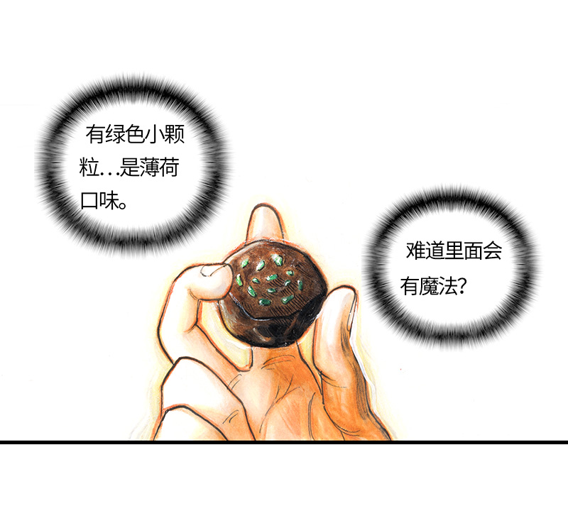 糖果法师27 薄荷巧克力II