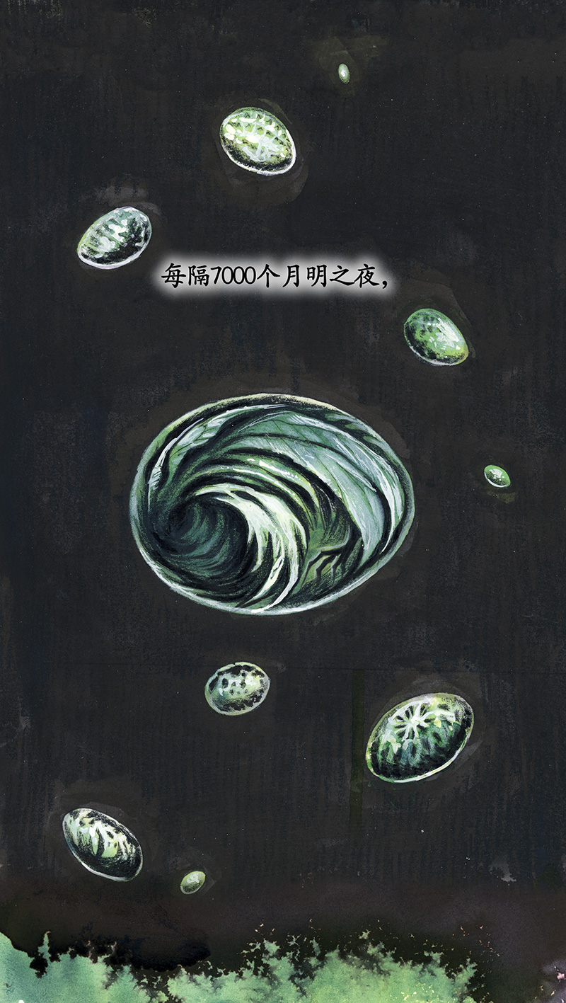 糖果法师29 实习吟游诗人II