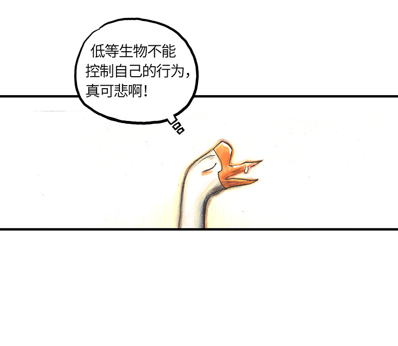 糖果法师31 邂逅