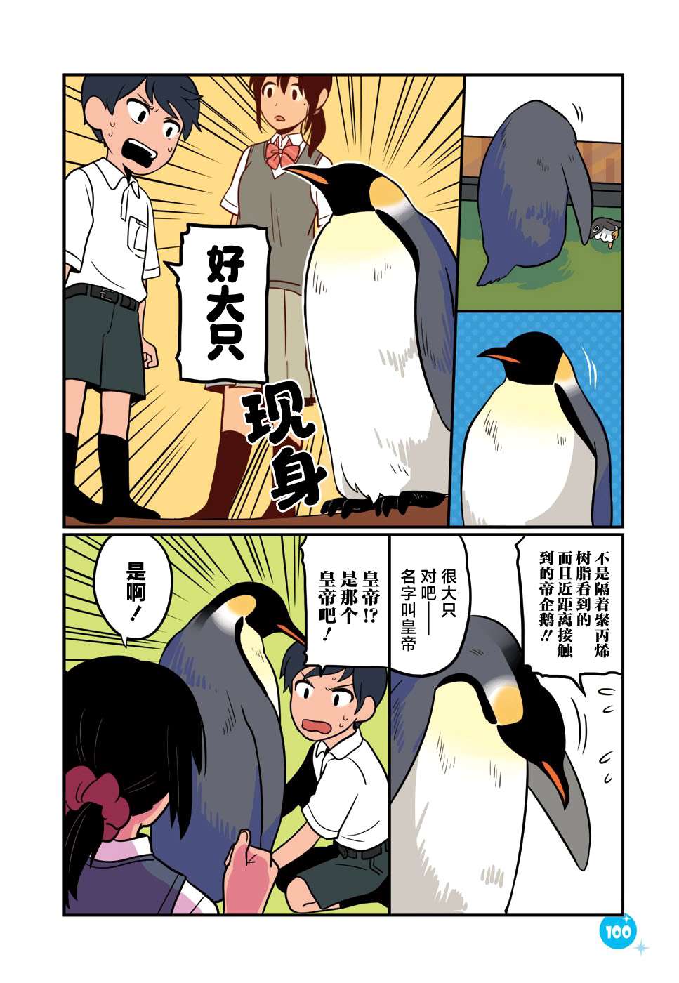与帝企鹅一起生活的女孩第25话