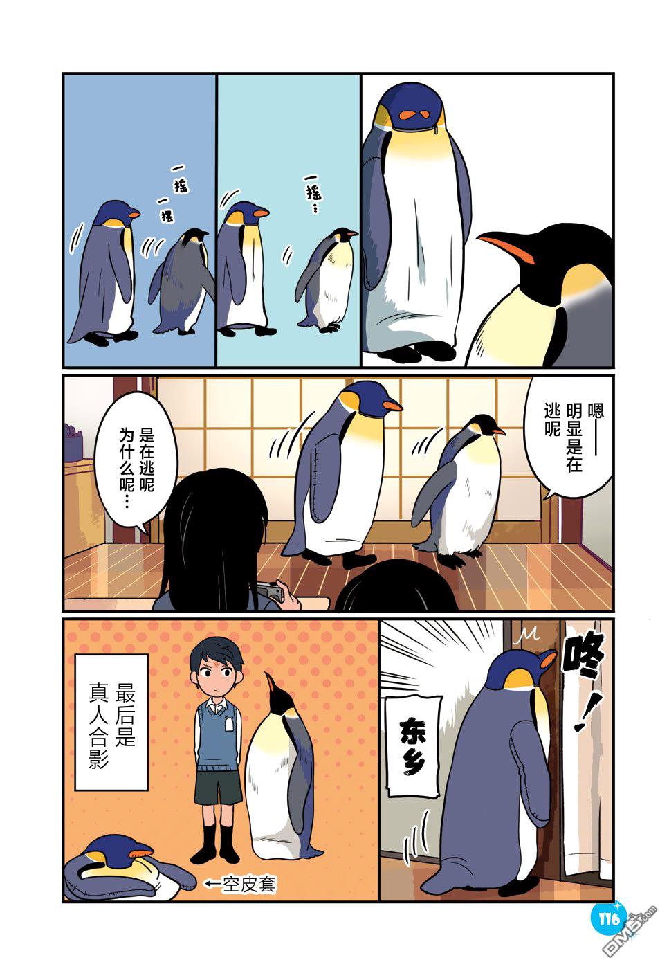 与帝企鹅一起生活的女孩第26话