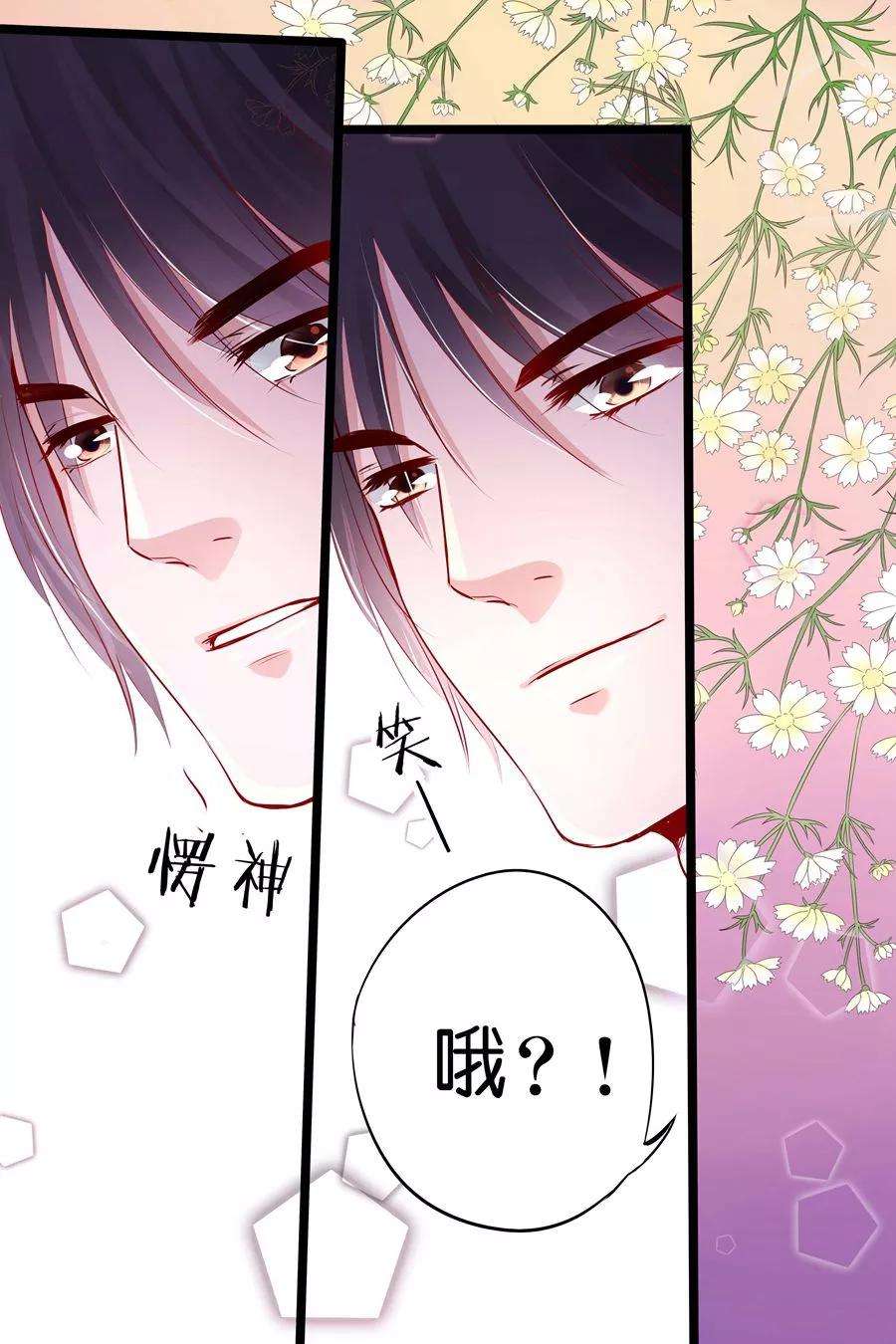 帝少的独宠计划19话 你是我的男人啊！