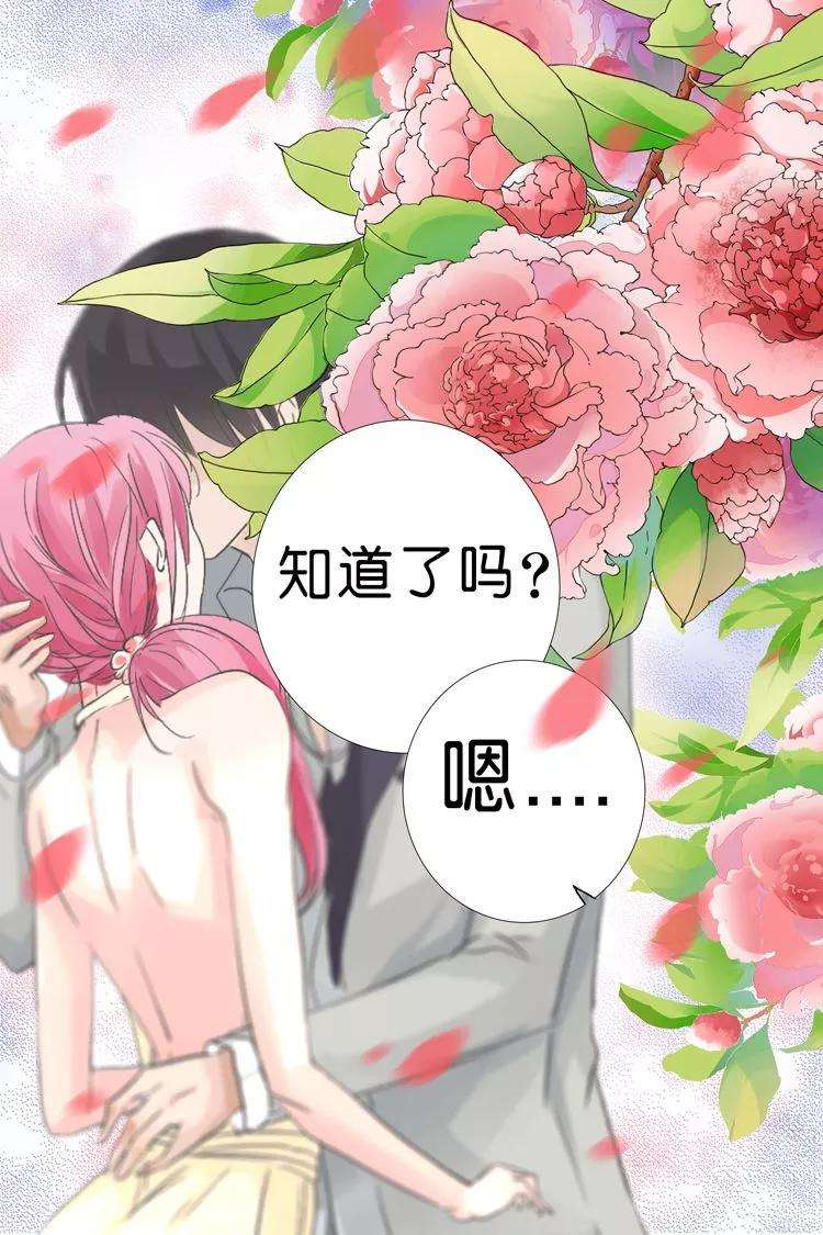 帝少的独宠计划27话 只属于我