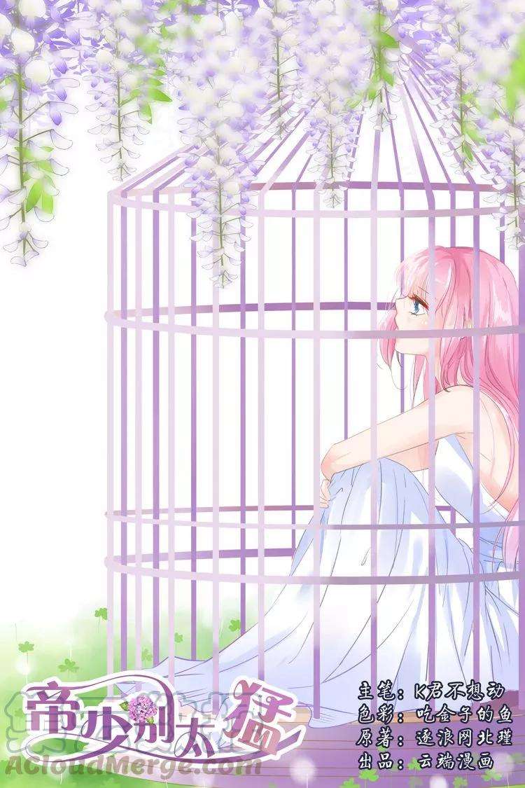 帝少的独宠计划29话 牢笼