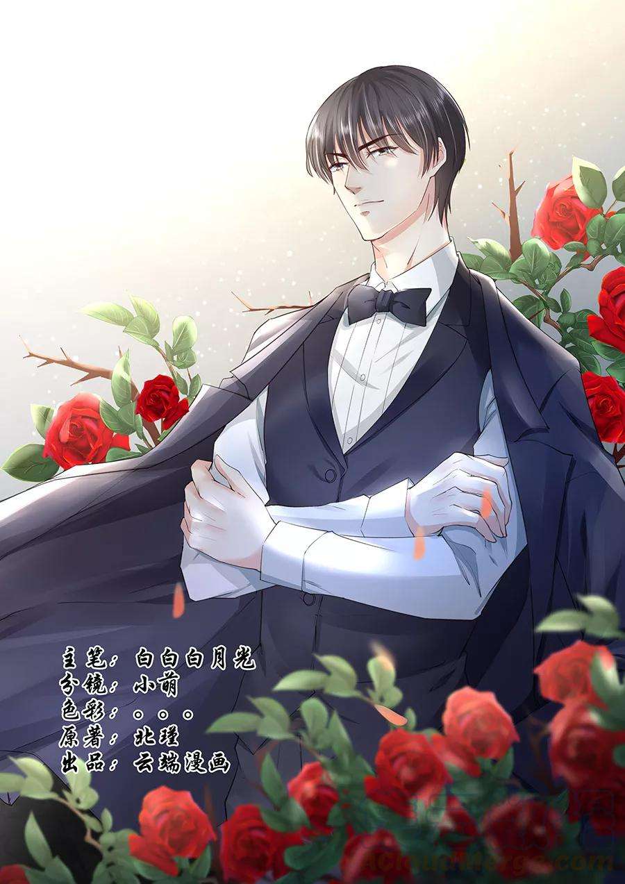 帝少的独宠计划189话 视频会议