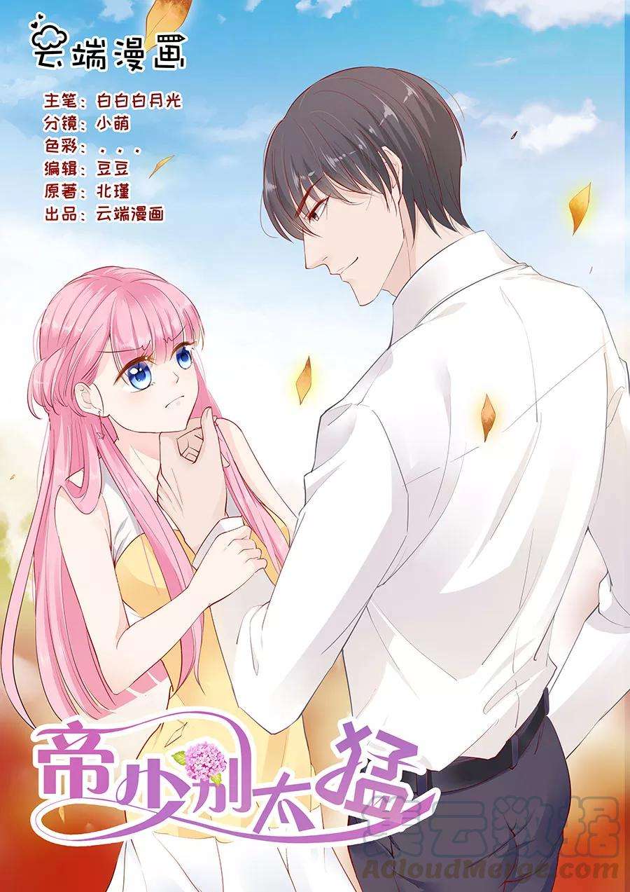 帝少的独宠计划225话 生日晚宴