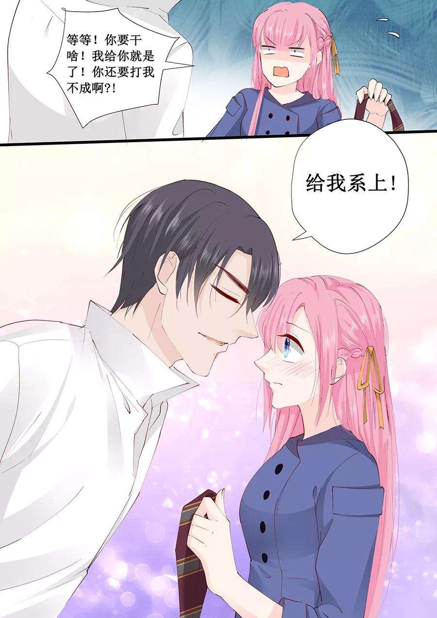 帝少的独宠计划225话 生日晚宴