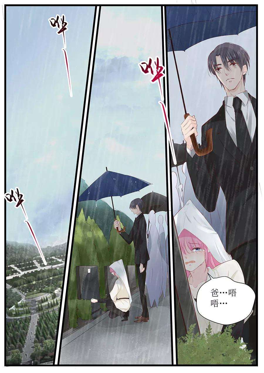 帝少的独宠计划254话 葬礼