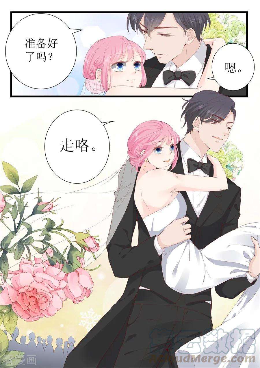 帝少的独宠计划333话 圆满1