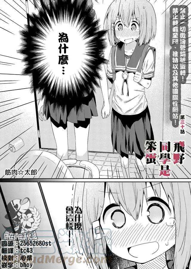 飞野同学是笨蛋30话