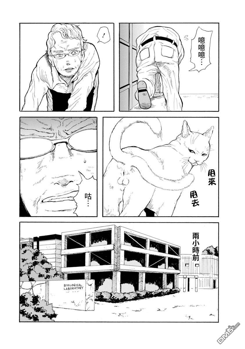 与猫随行第8话 ....您讨厌猫吗？