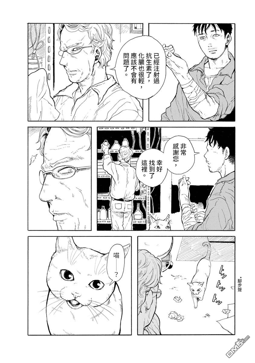 与猫随行第8话 ....您讨厌猫吗？